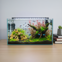 Acquario 25 litri - piccolo acquario in vetro (solo vasca) - misure: 40x25x25(h) cm
