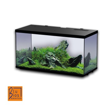 SIRIUS Aquarium 51 - Aquarium complet - Mesures: 60 × 26... 2