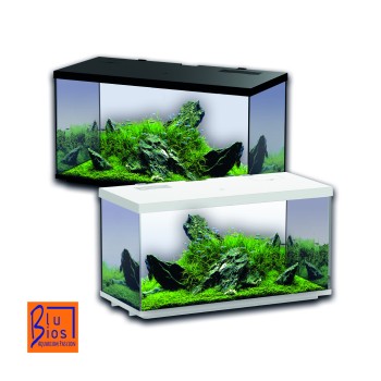 Sirius Aquarium 51 - Complete aquarium - Measurements: 60...