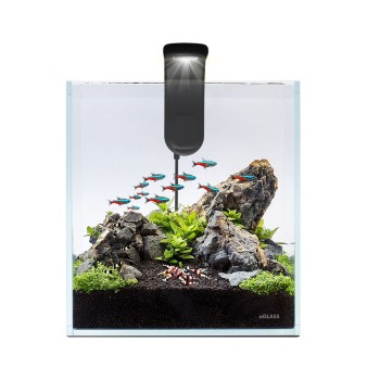 Aqualhter Nano Set 10 litres - Petit aquarium pour nanofish et cardiine