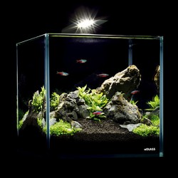 AquaLighter NANO SET 10 litri - piccolo acquario per nanofish e caridine