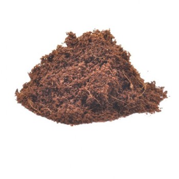Coconut fiber 10 liters for terrariums, rectular and... 2