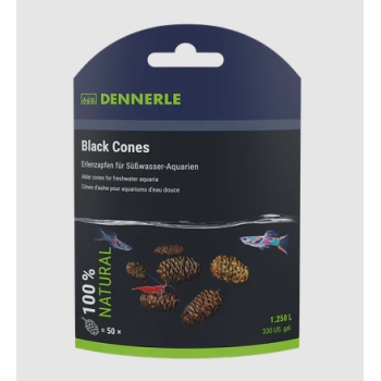 Pigne Ontano De Black Cones - Dennerle 2