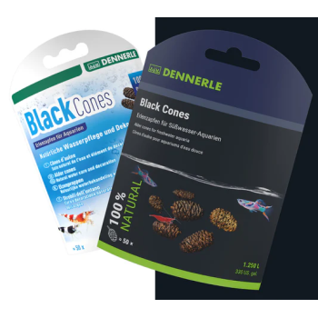 Pigne Ontano De Black Cones - Dennerle