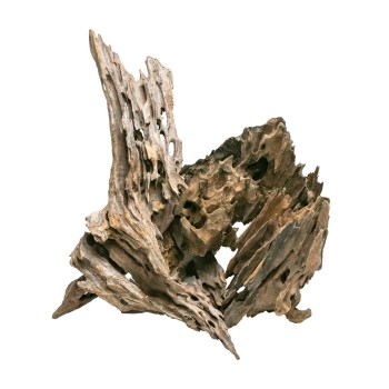 Legno Dragon Wood - Radice di legno naturale per acquario