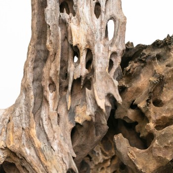 Dragon Wood Wood - natural wood root for aquarium 2