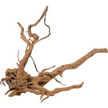 Legno Red Moor Wood - Radice di legno naturale per acquario