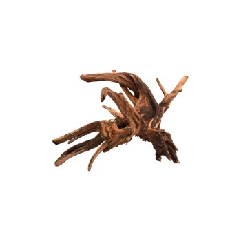 Legno Drift Wood - Radice di legno naturale per acquario