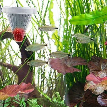 Floating manger with suction cup for Tubifex and live food 2