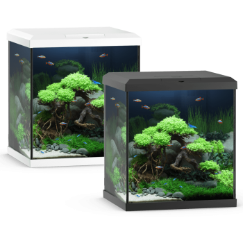 VIO CUBE 54 Aquarium set with filter and light (41x36x47h...