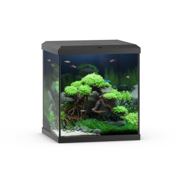 Vio Cube 54 Aquarium Set avec filtre et lumière... 2