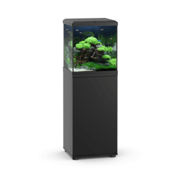 Juwel VIO CUBE 54 + Mobile SBX - Full black aquarium set...