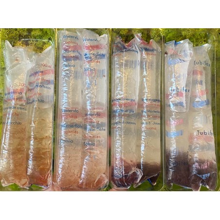 MIX offer 4 Live food food tastes for Live Food + Box shipping included