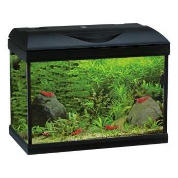 Amtra Basic LED 40 - Acquario 25 litri con filtro interno e illuminazione LED