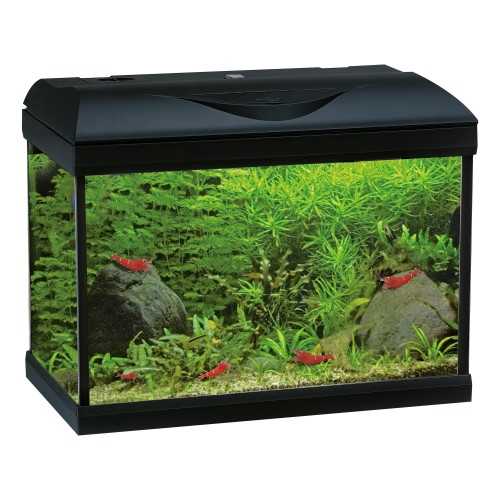 Amtra Basic LED 40 - Acquario 25 litri con...