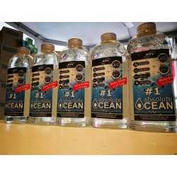 Concentrato di Acqua marina Absolute Ocean ATI 2