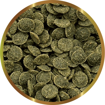 SHG Caridina Greenchips 25 gr - Flux végétal complet pour... 2