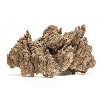 Roccia Mountain Sponge – Roccia d’Arredo Naturale
