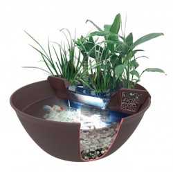 Superfish Mini Pond 30 litres - Mini Pond décoratif Compact pour le jardin, la terrasse et l'intérieur