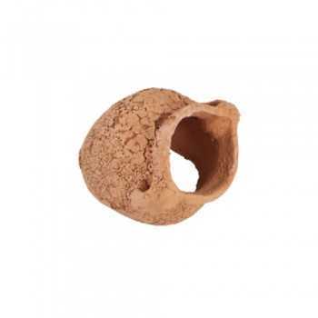 copy of AMPHORA TERRACOTTA POUR AQUAIRE (MESURES DE 14-17 CM) - Blu Bios
