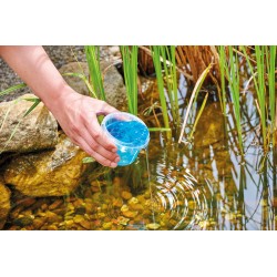copy of Duo Pack, Qualygae + Laghetti Bacteria - Aquatic Science
