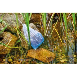 copy of Duo Pack, Qualygae + Bactéries Laghetti - Science aquatique