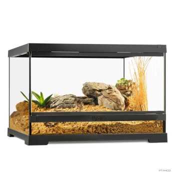 Paludarium en verre, stand avancé et terrarium pour...