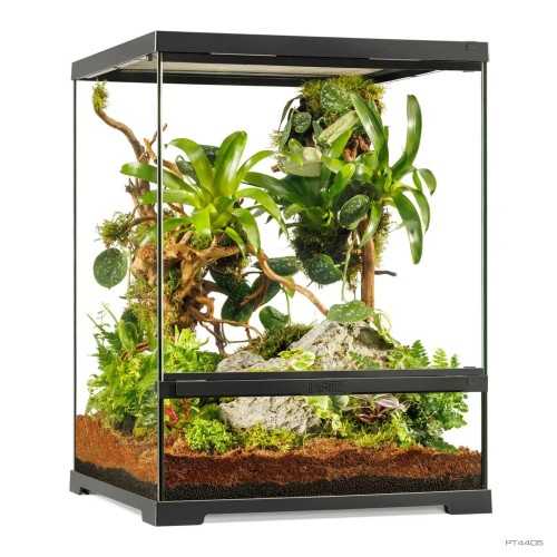 Tiki Terrarium Tall, Mini Terrarium en verre...