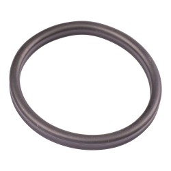 Guarnizione di Ricambio OASE BioMaster per Filtri Esterni BioMaster e BioMaster Thermo