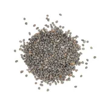 copy of 6 couleurs de sable pour aquariums d'eau douce... 2