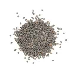 copy of 6 couleurs de sable pour aquariums d'eau douce Sable sauvage AQPET
