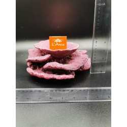 Plates a fiore Real Reef Rock Rocce sintetiche vive 2
