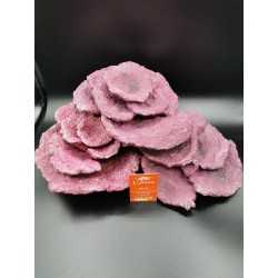 Plates a fiore Real Reef Rock Rocce sintetiche vive