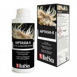 Aiptasia-X Red Sea 