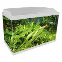 Acquario Genius 40 2