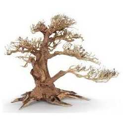Bonsai 22 cm Wind 4 SM