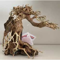 Bonsai 25 cm Wind 7 MD