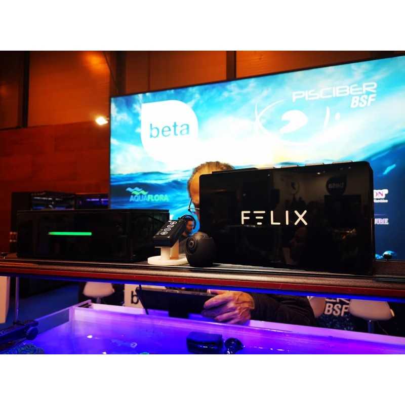 Felix Smart