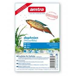 Daphnien Amtra frozen 100 gr