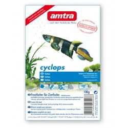 Cyclops Amtra frozen 100 gr cubes