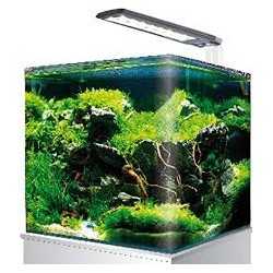 Amtra NANOTANK System 30 Led 2