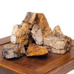 Rock Petrified