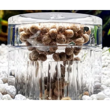 Capsules de pièges Planarie X Hobby