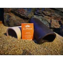 CATFISH CAVE L CASETTA CAVE L AND CUSSY REPRODUCTION FISH 2