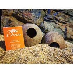 Coconut for Aqua Cave fish Hobby
