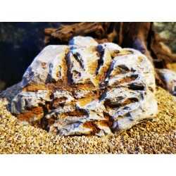 Azure River Rock 2