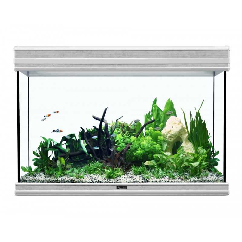 Fusion 80 Led Aquatlantis con supporto 137 l