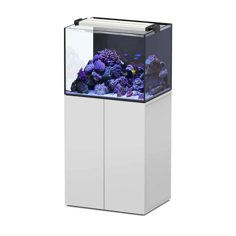 AQUAVIEW 65 SW marino Aquatlantis - 136 litri...