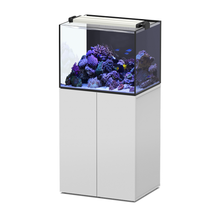Aquaview 65 SW Marine Aquatlantis - 136 liters with mobile and sump and lighting