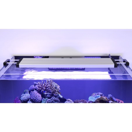 Aquaview 65 SW Marine Aquatlantis - 136 litres avec mobile et puisard et éclairage